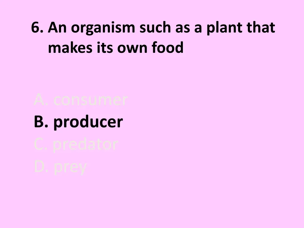 6 an organism such as a plant that makes 1