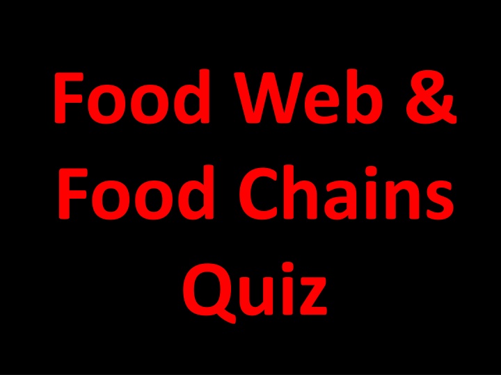 food web food chains quiz