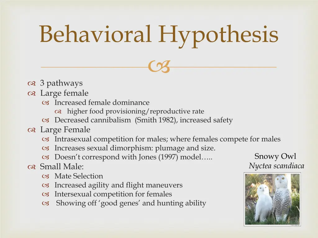 behavioral hypothesis