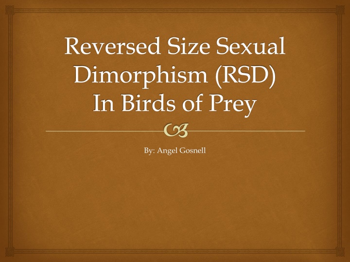 reversed size sexual dimorphism rsd in birds