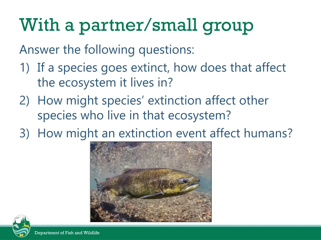 with a partner small group answer the following