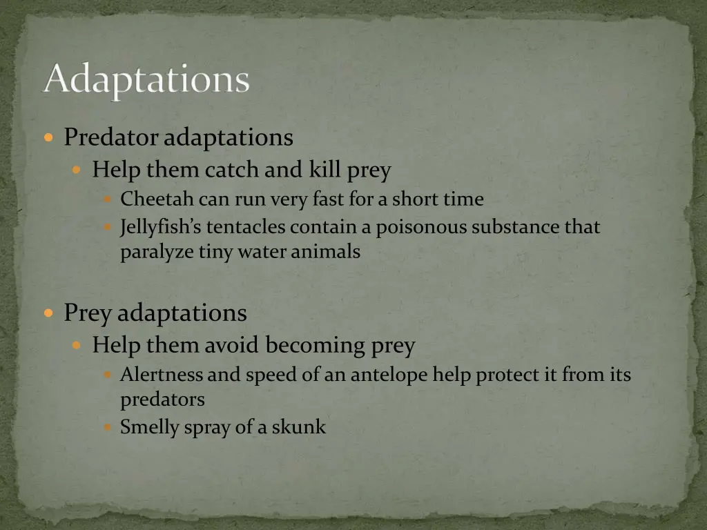 adaptations