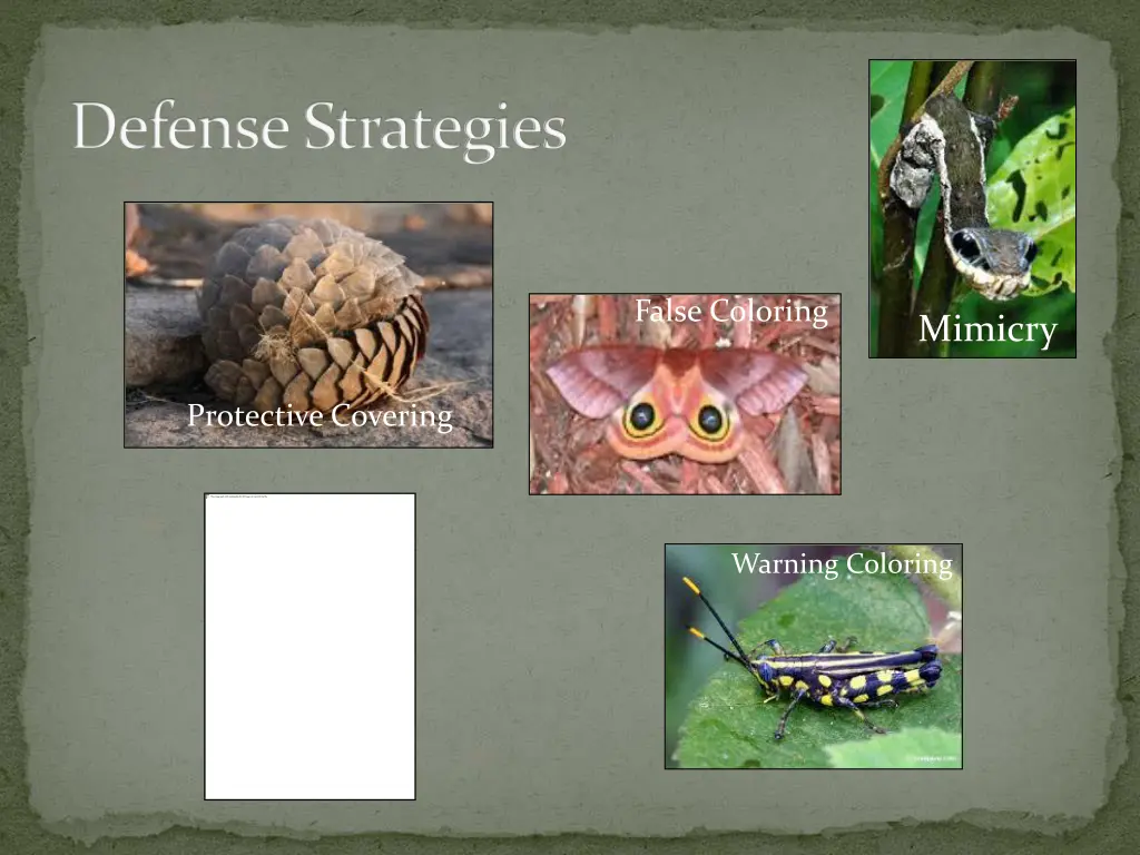 defense strategies