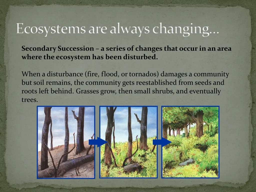 ecosystems are always changing 1