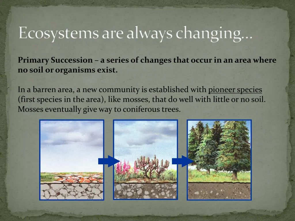 ecosystems are always changing