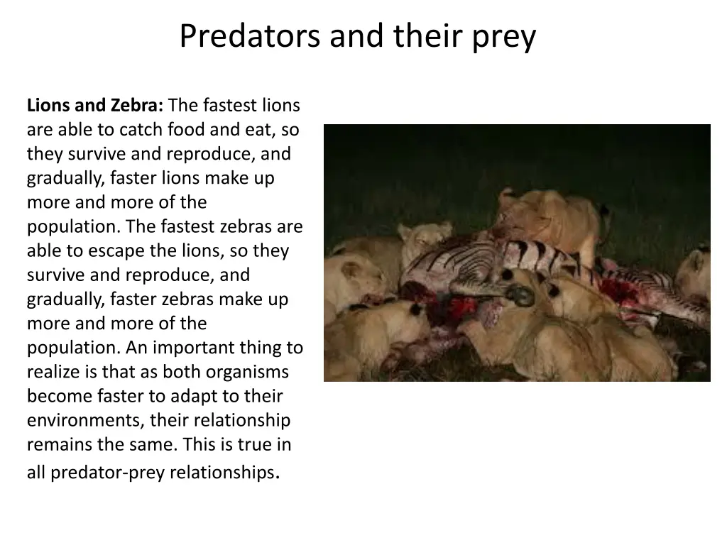 predators and their prey 1