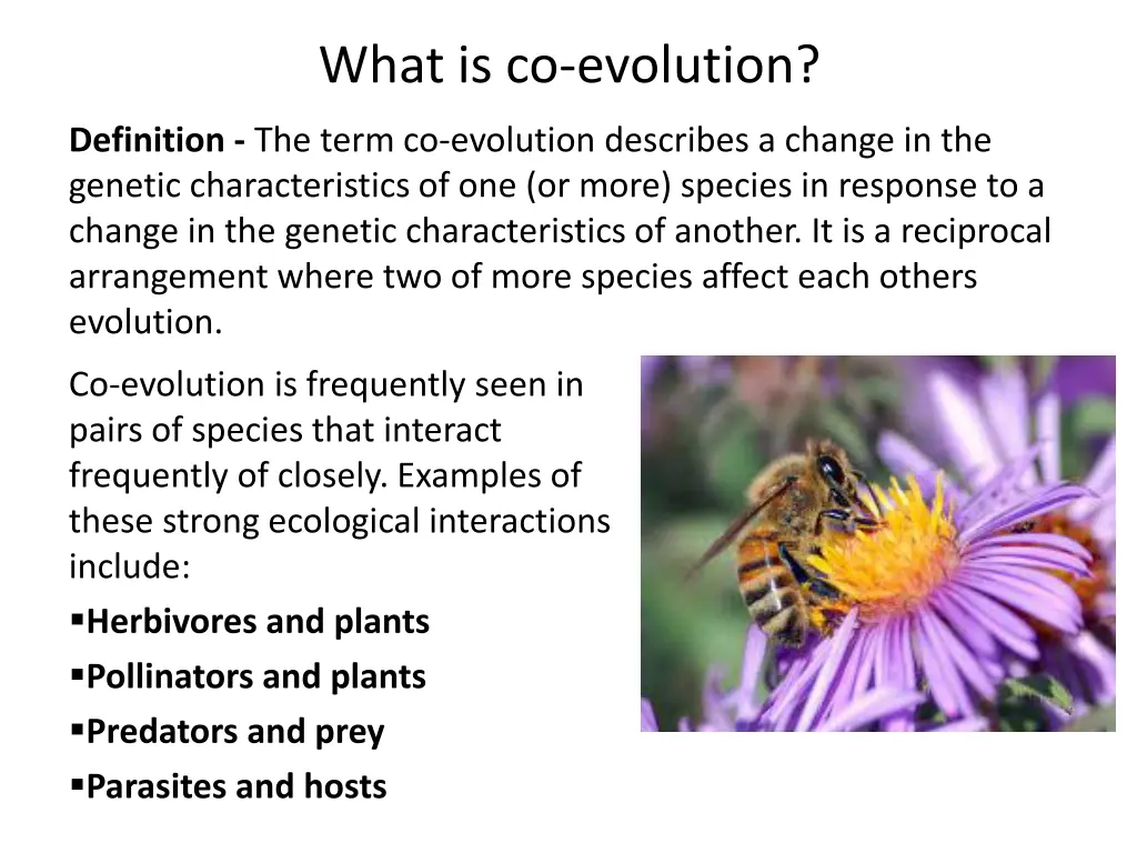 what is co evolution