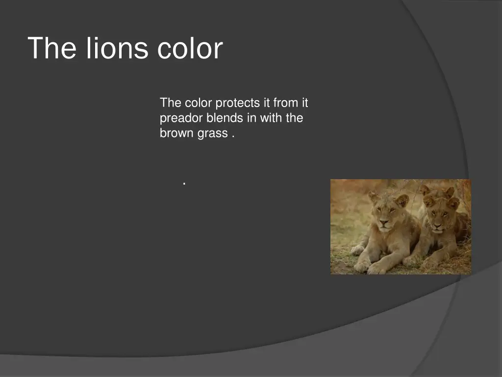 the lions color