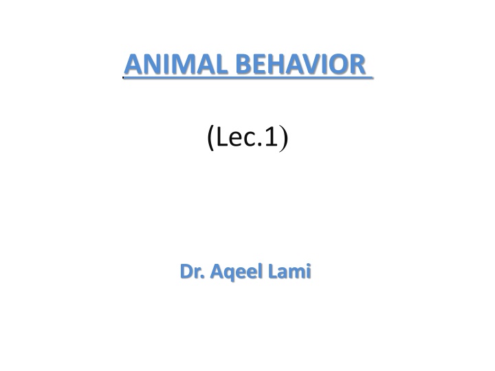 animal behavior