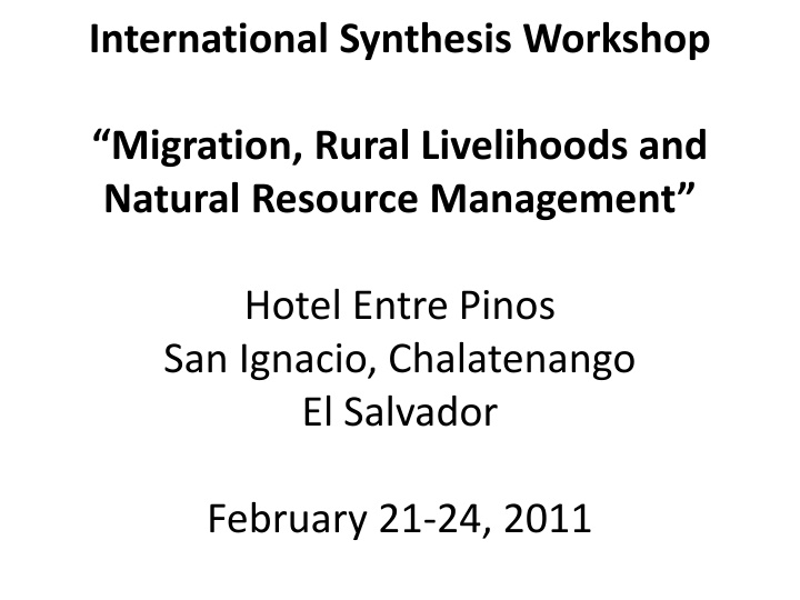 international synthesis workshop