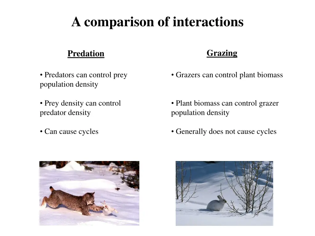 a comparison of interactions