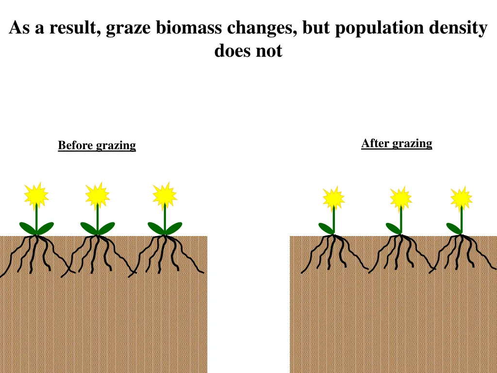 as a result graze biomass changes but population