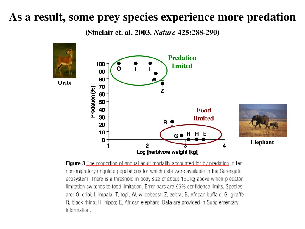 as a result some prey species experience more