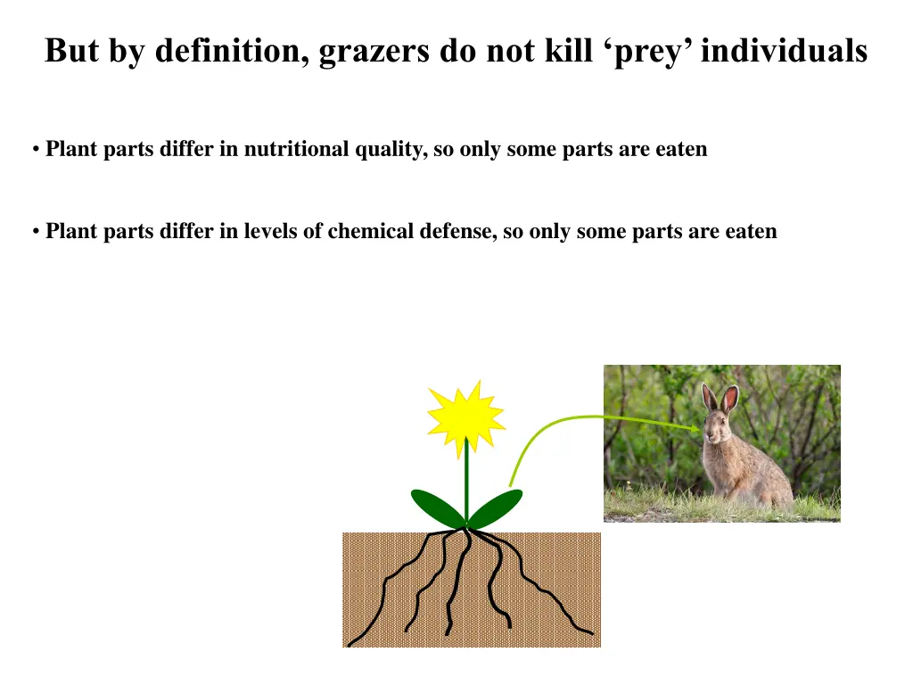 but by definition grazers do not kill prey