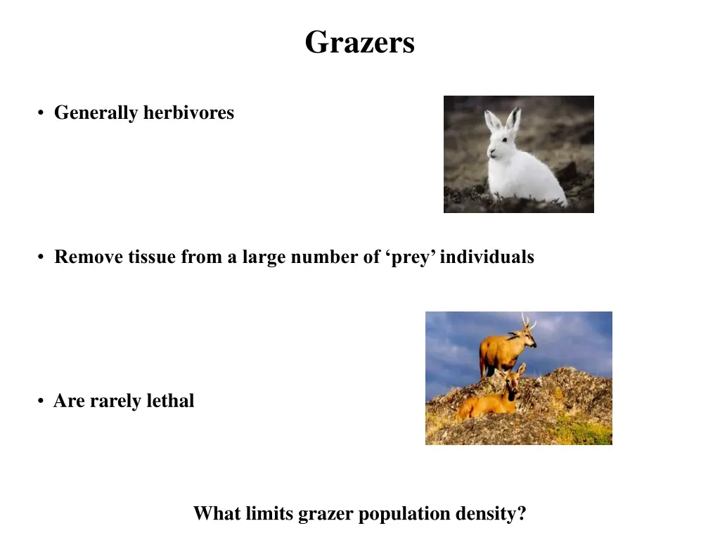 grazers