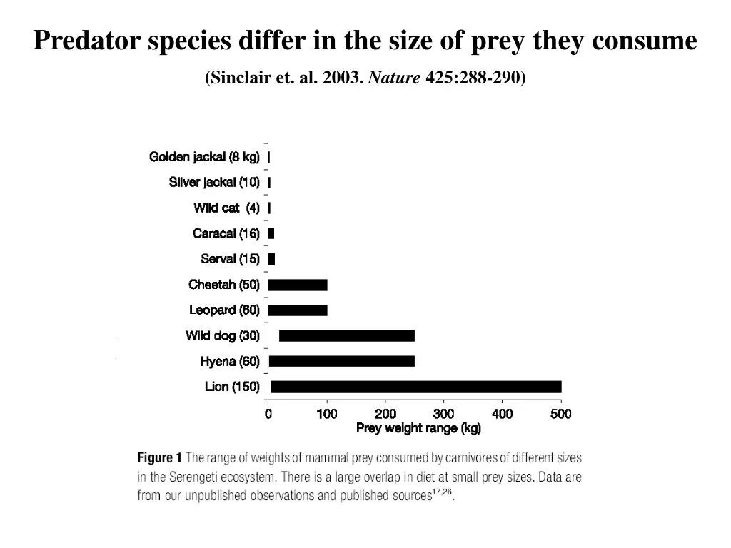 predator species differ in the size of prey they