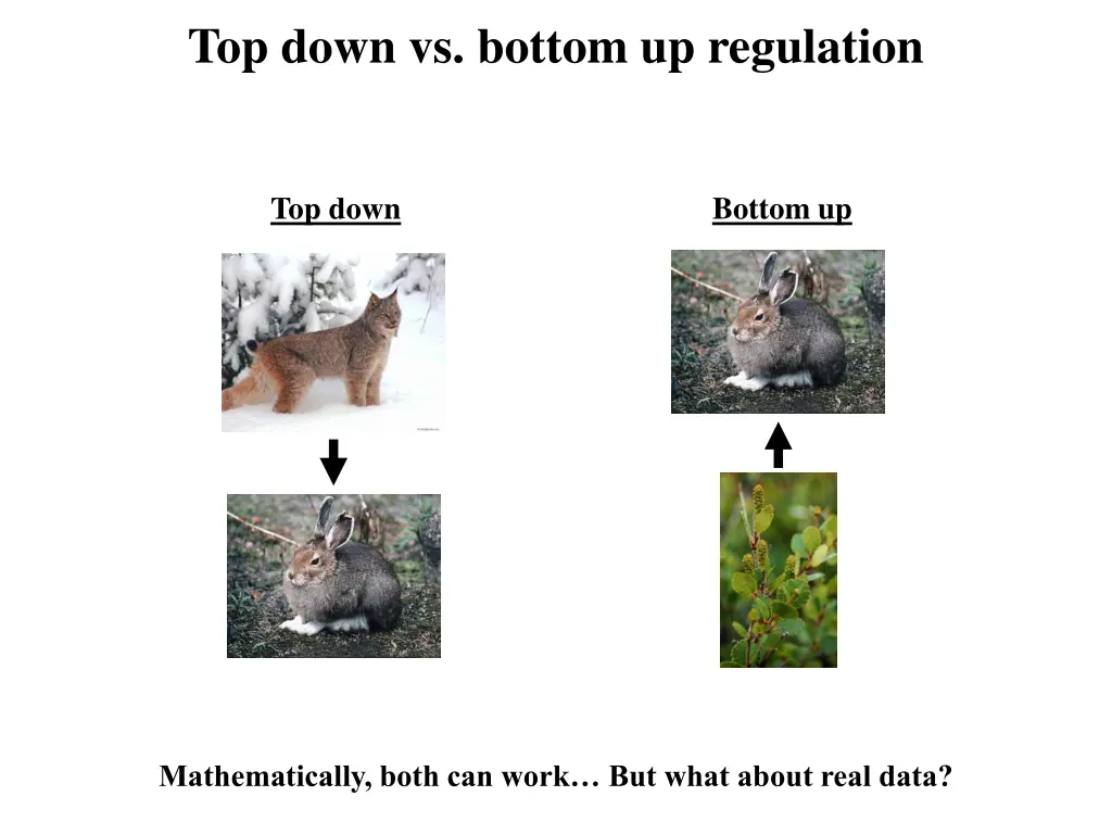 top down vs bottom up regulation 1