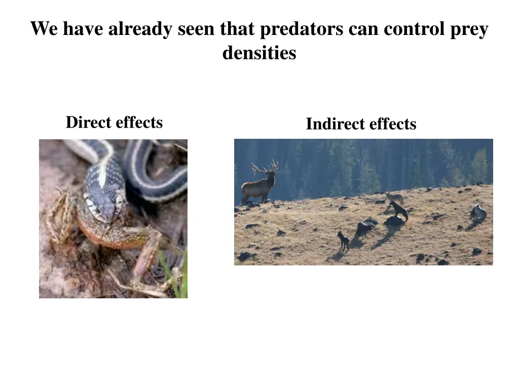 we have already seen that predators can control