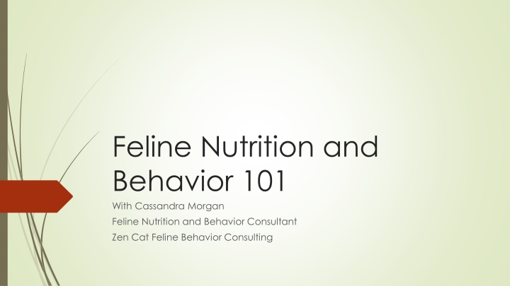 feline nutrition and behavior 101 with cassandra