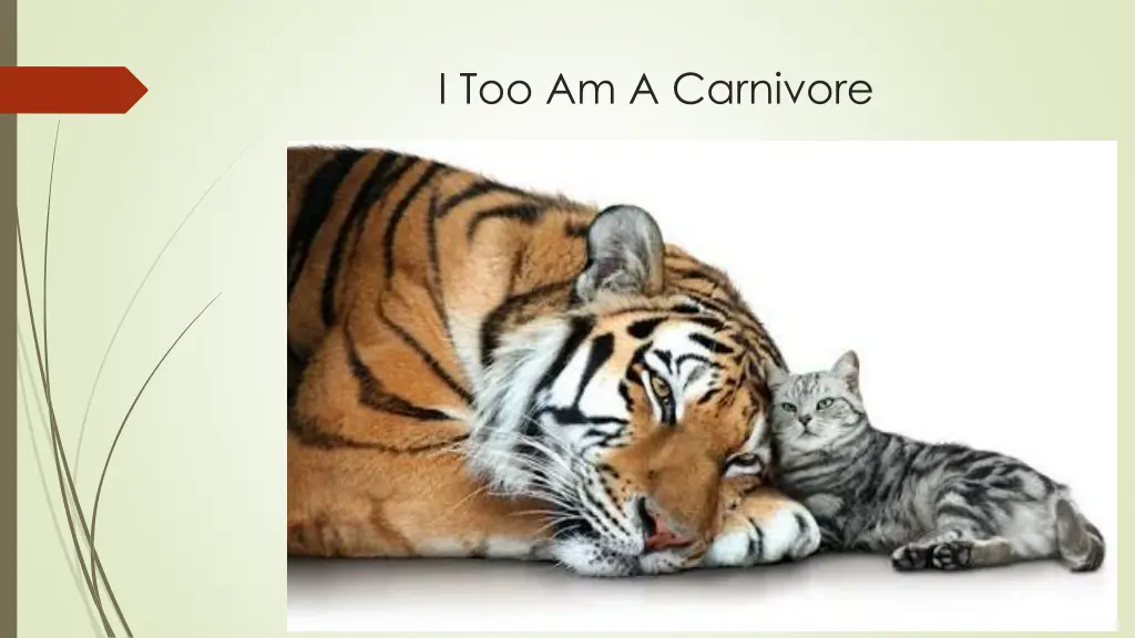 i too am a carnivore