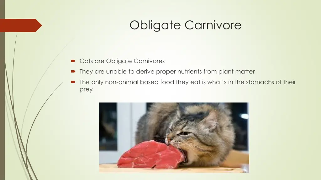 obligate carnivore