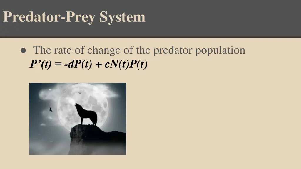 predator prey system 1