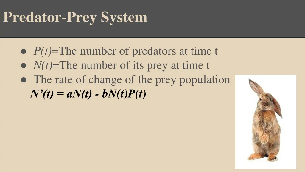 predator prey system