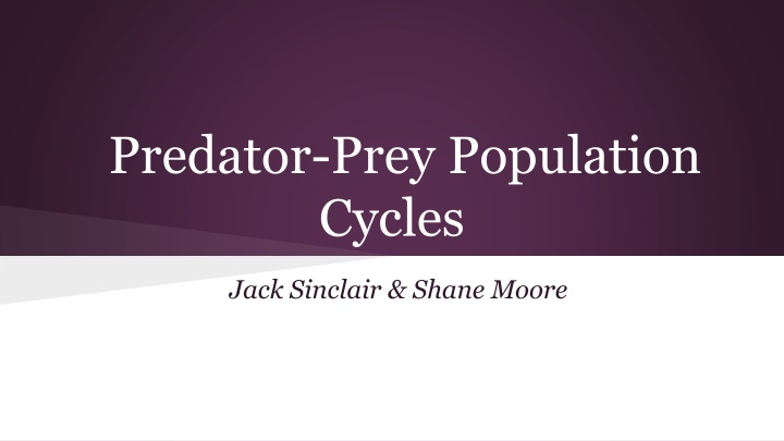 predator prey population cycles