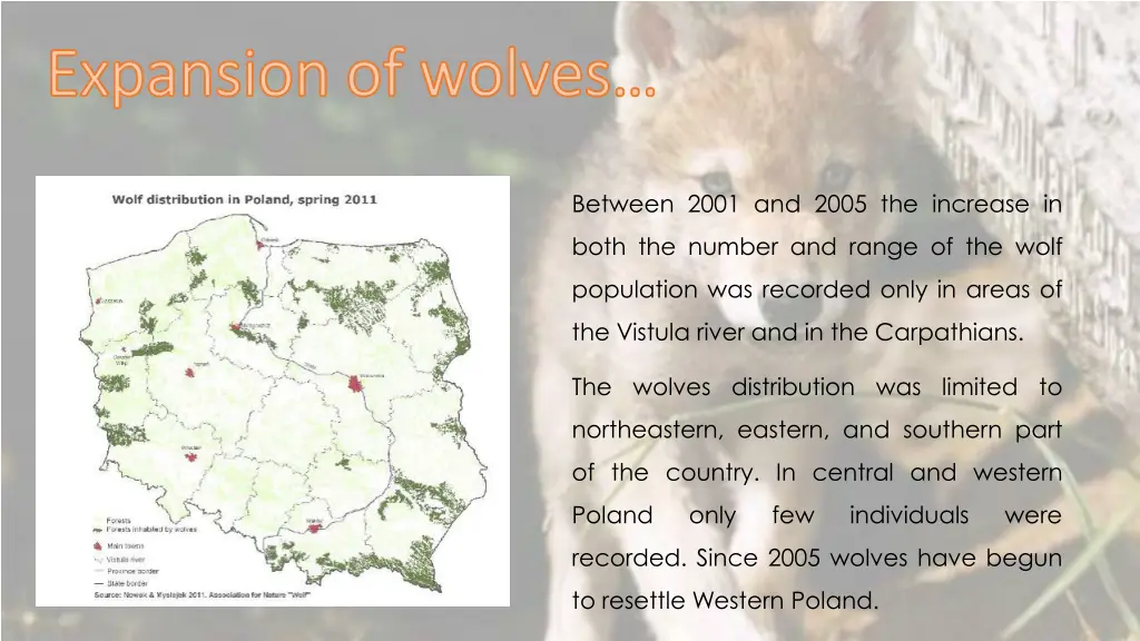 expansion of expansion of wolves