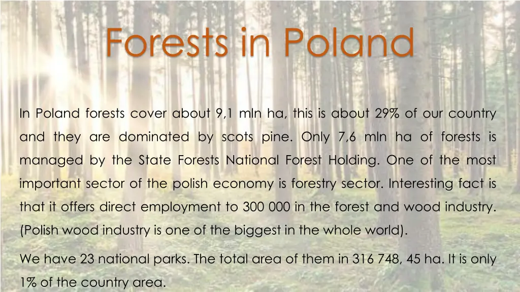 forests in poland