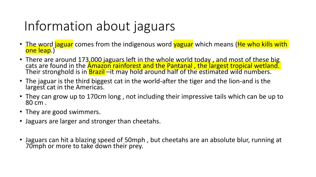 information about jaguars