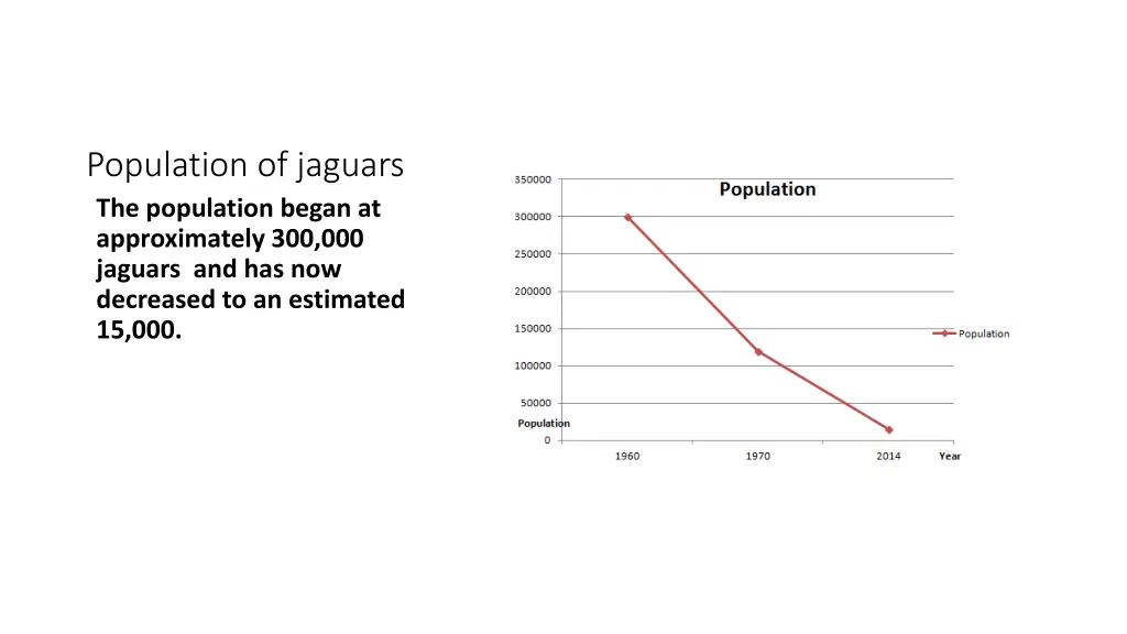 population of jaguars the population began