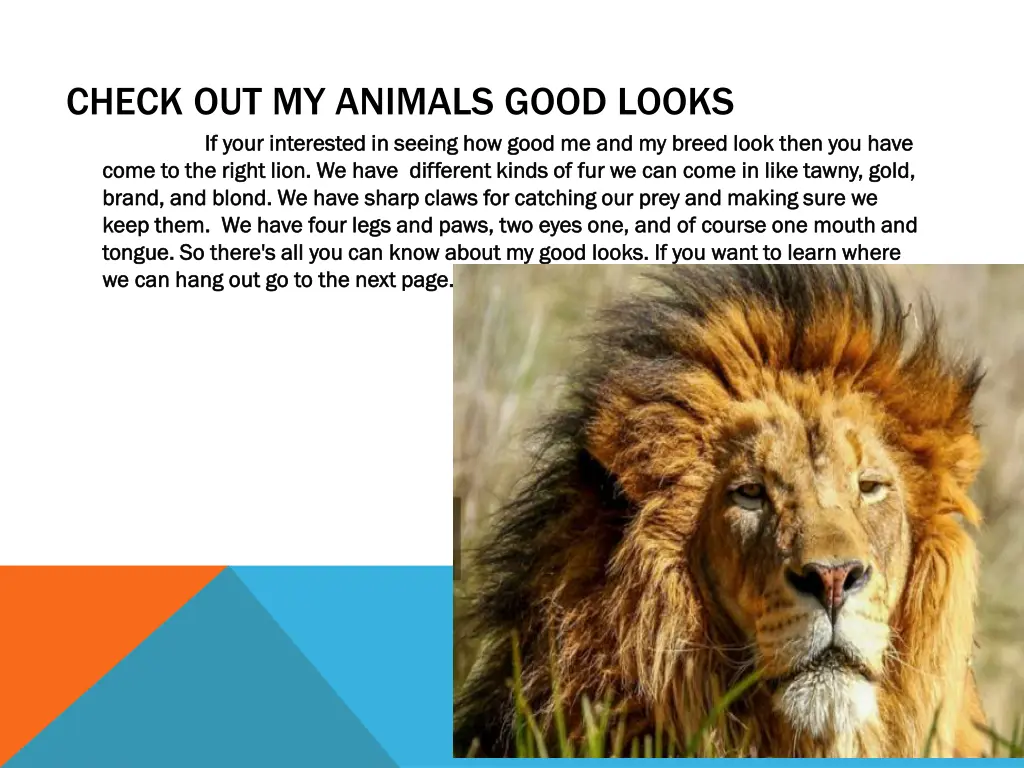 check out my animals good looks if your