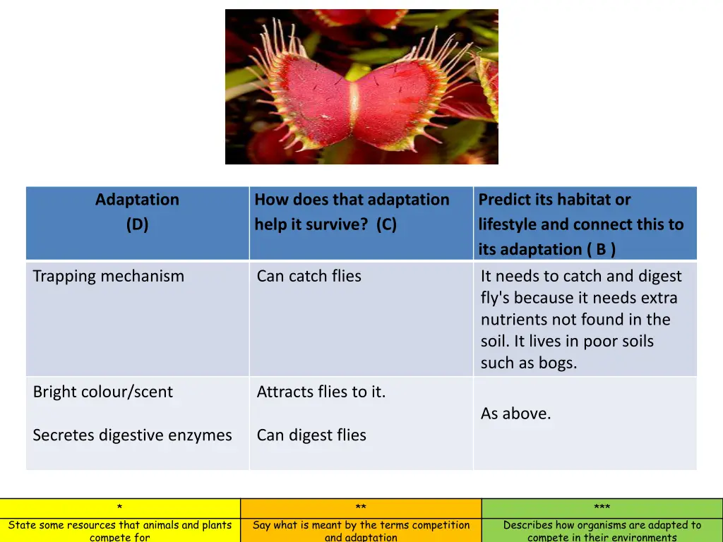 adaptation d 1