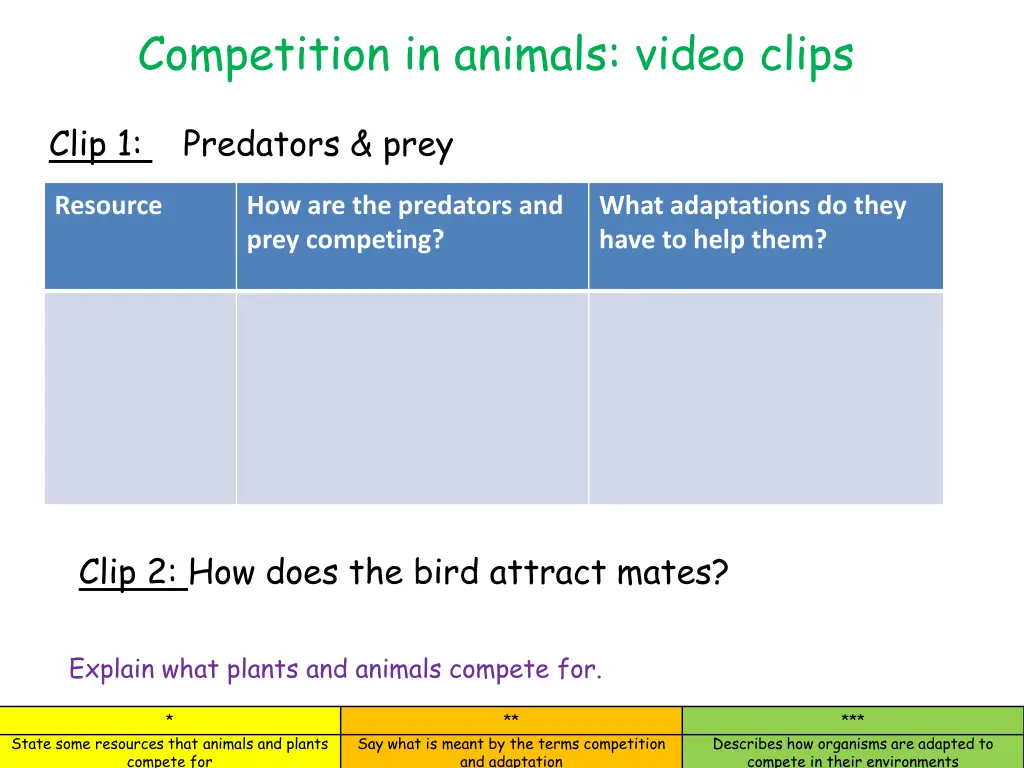 competition in animals video clips