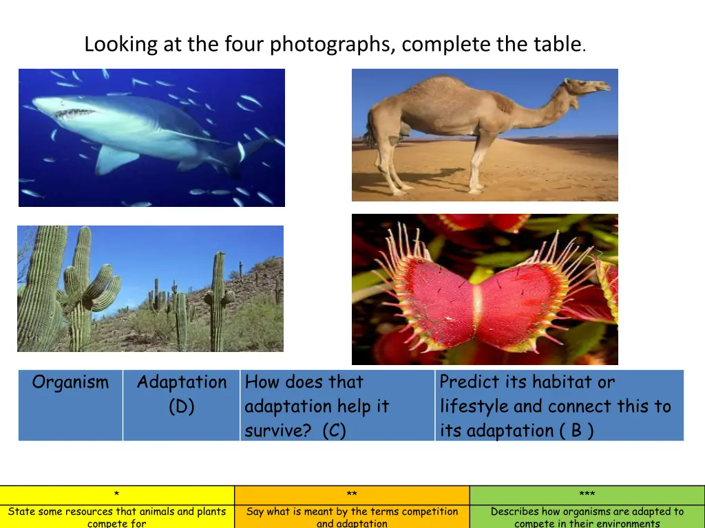 looking at the four photographs complete the table