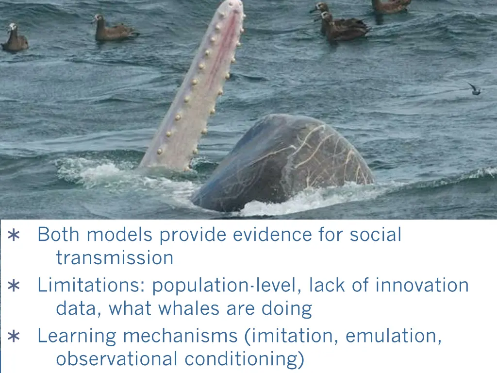 both models provide evidence for social