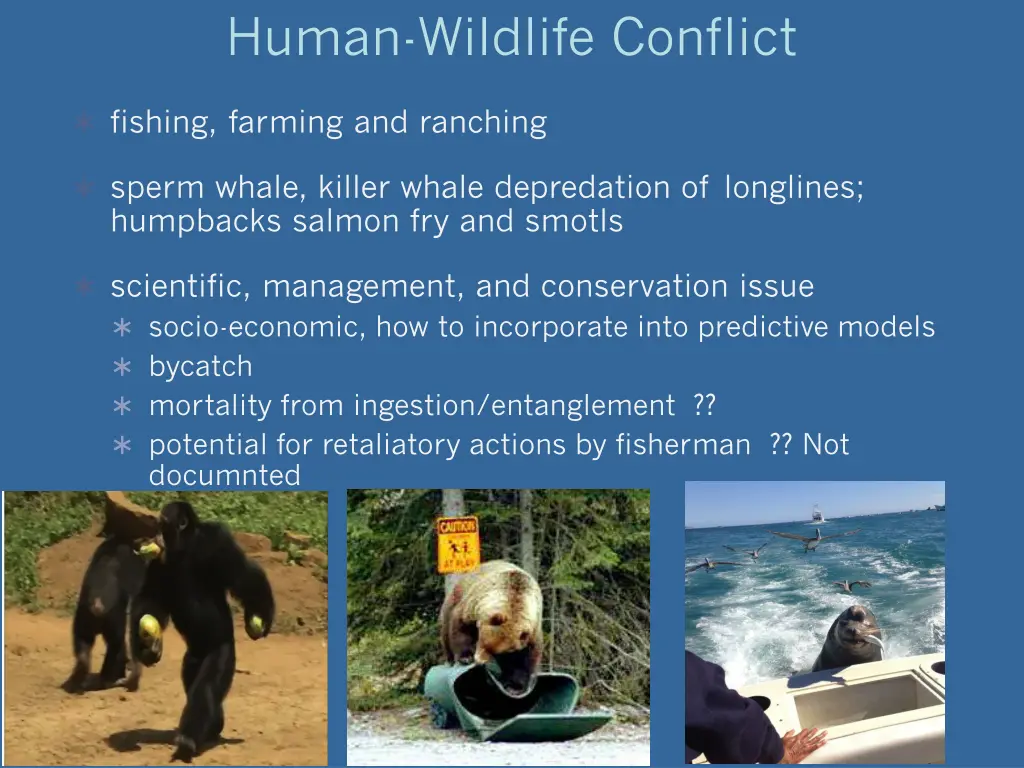 human wildlife conflict