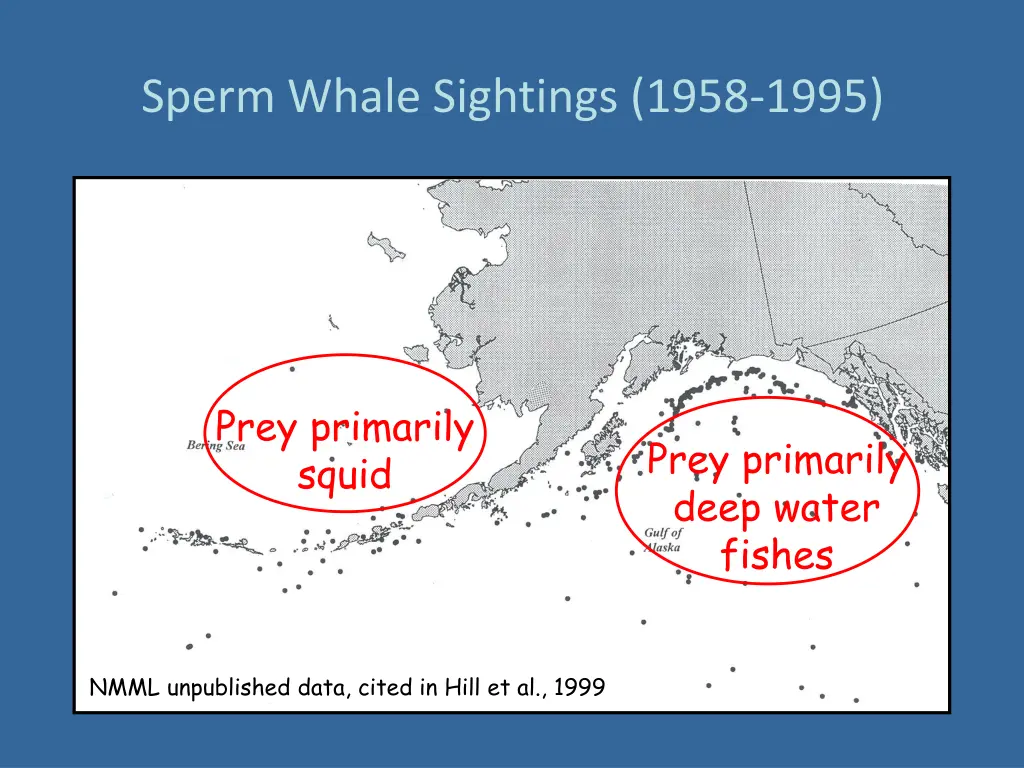 sperm whale sightings 1958 1995