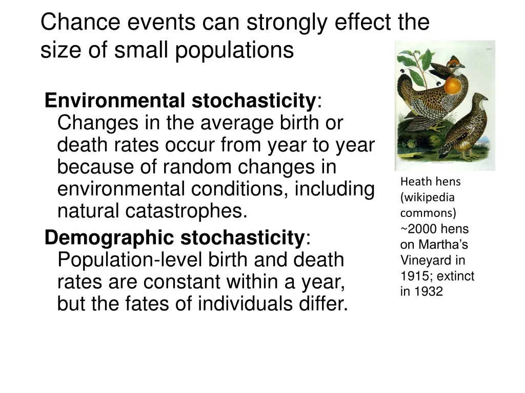 chance events can strongly effect the size