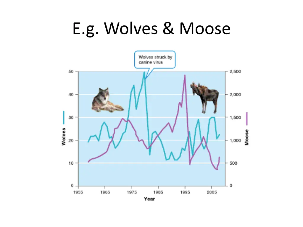 e g wolves moose