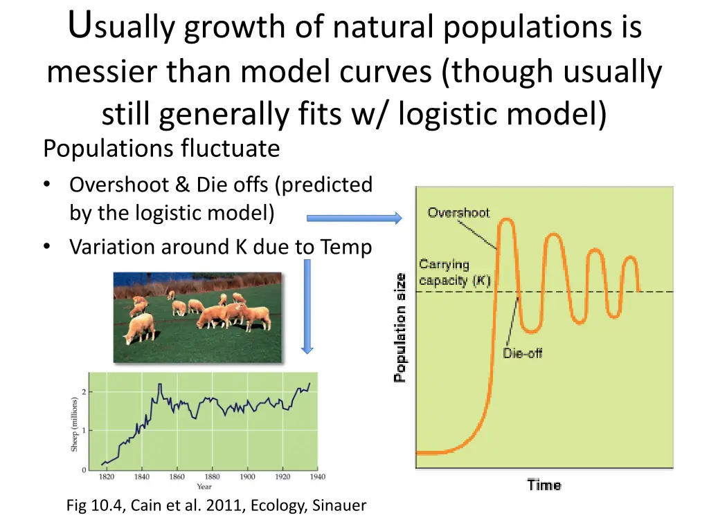 u sually growth of natural populations is messier