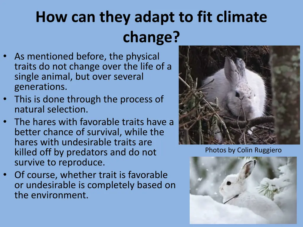 how can they adapt to fit climate change