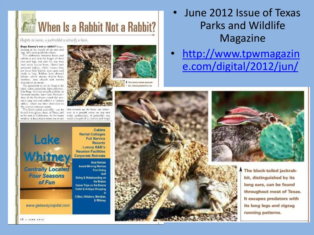 june 2012 issue of texas parks and wildlife