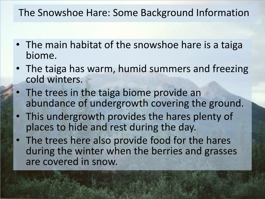 the snowshoe hare some background information