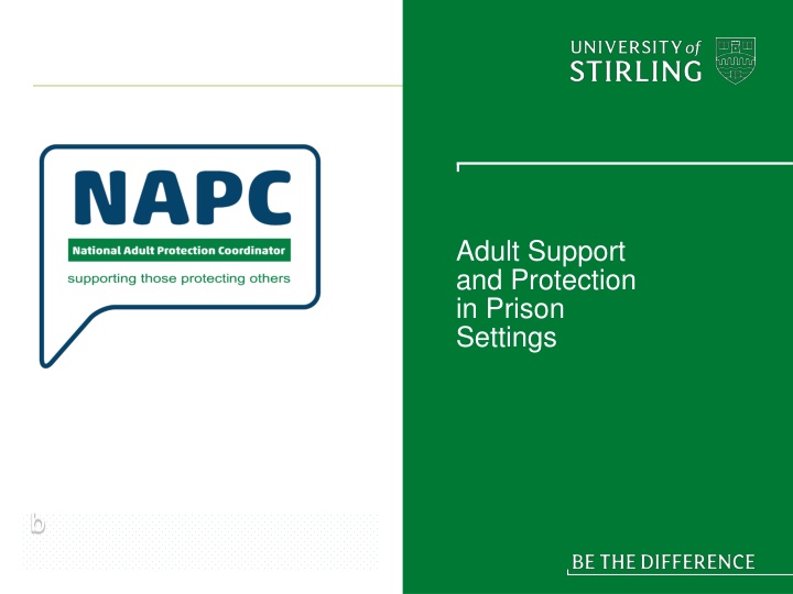 adult support and protection in prison settings