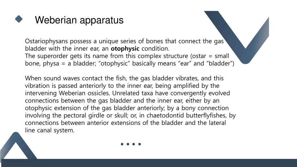 weberian apparatus