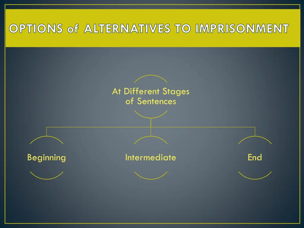 options of alternatives to imprisonment