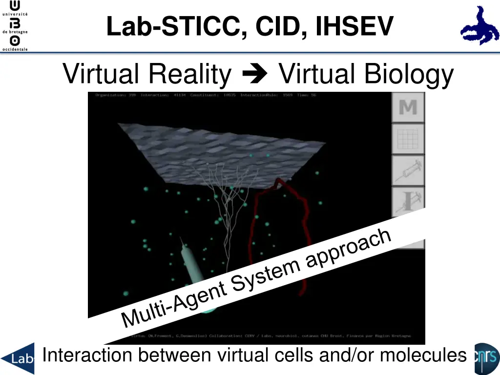 lab sticc cid ihsev