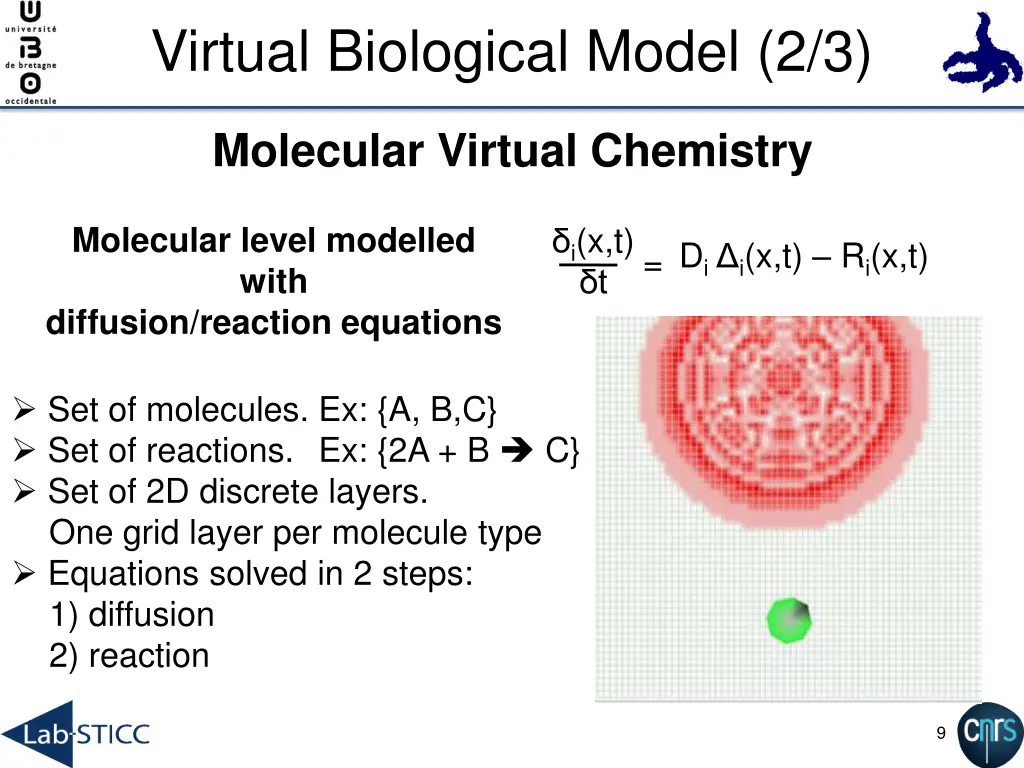 virtual biological model 2 3